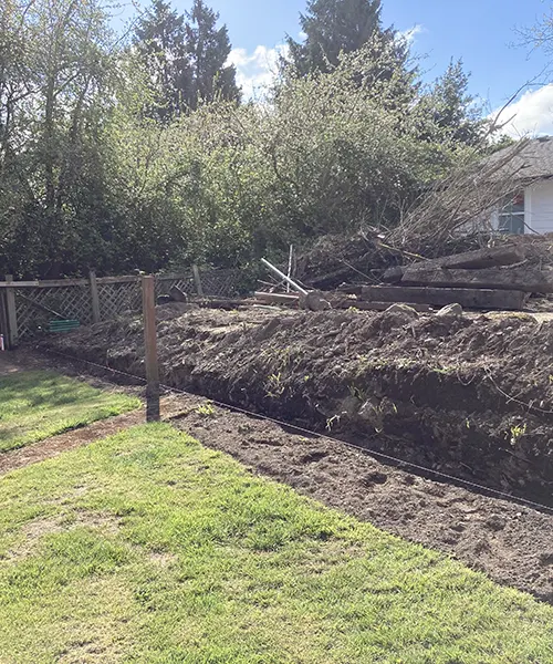 New Lawn Installation in Seattle 